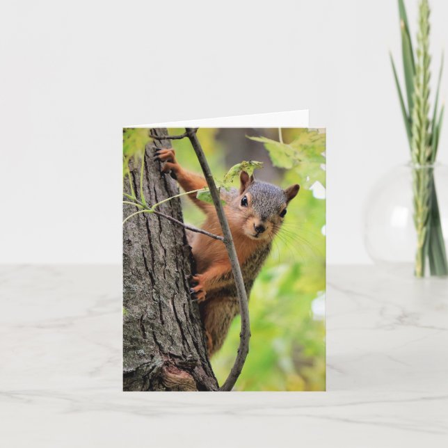 Olá, Cartão de Nota (Frente)