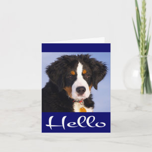 Olá Cartão de Nota de Cachorro Filhote Bernês