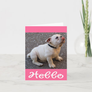 Olá Cartão de Nota em Branco de Cachorrinho Bulldo