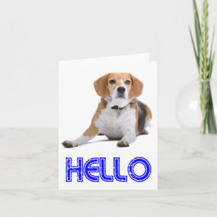 Olá Cartão de Nota em Branco do Cachorrinho Beagle