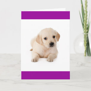 Olá Cartão de Saudação de Cachorro Filhote Retriev