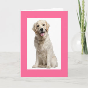Olá Cartão de Saudação de Cachorro Filhote Retriev