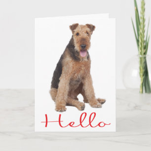 Olá Cartão de Saudação do Cachorrinho Airedale - V