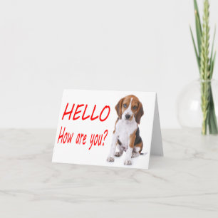 Olá Cartão Nota Vermelho Cachorrinho Beagle