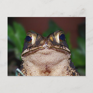 Olá! Cartão Postal