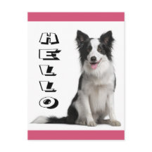 Olá Cartão Postal Cachorrinho Border Collie