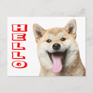 Olá Cartão Postal de Boas-Vindas ao Cachorro Shiba