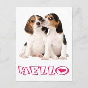 Olá Cartão Postal de Cachorrinho Beagle