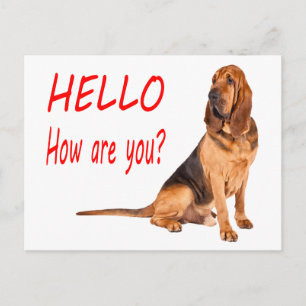 Olá Cartão Postal de Cachorrinho Bloodhound em Bra