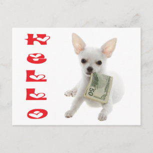 Olá Cartão Postal de Cachorro Filhote Chihuahua