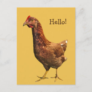 Olá, cartão postal do Red Hen Chicken