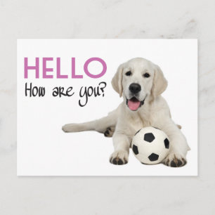 Olá Cartão Postal do Retriever Labrador Amarelo