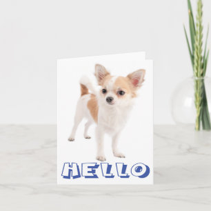 Olá Cartão sem Legenda de Cachorrinho Chihuahua