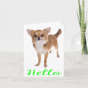 Olá Cartão sem Legenda de Cachorrinho Chihuahua