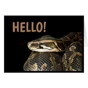 "OLÁ"/ Cobra, Cartão de Saudação em Branco