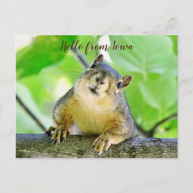 Olá do Cartão Postal de Iowa (Frente)