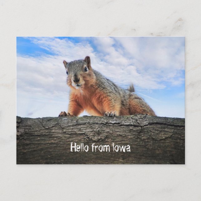 Olá Do Cartão Postal De Iowa (Frente)