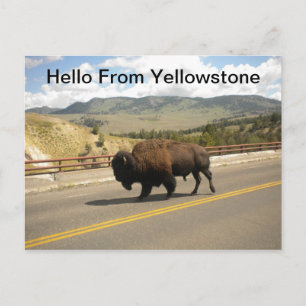 Olá Do Cartão Postal Yellowstone