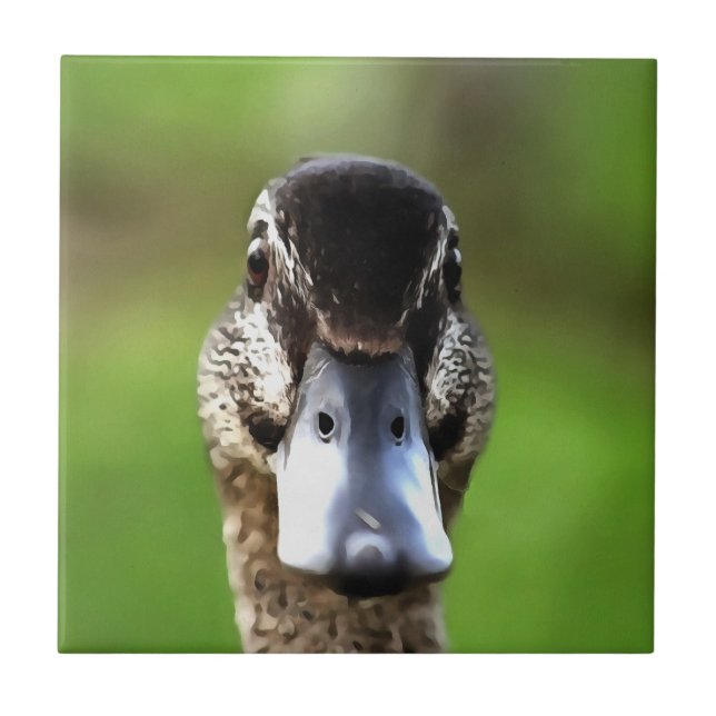 Olá Ducky Quirky Duck Portrait (Frente)