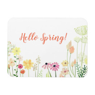 Olá! ímã do primavera