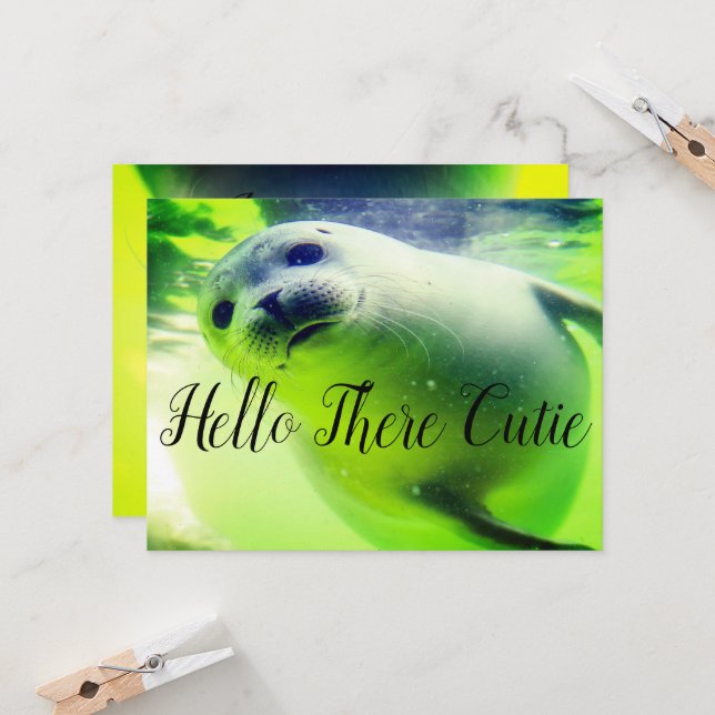 Olá Lá Cutie (Frente/Verso In Situ)