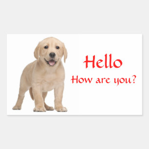 Olá / Oi Adesivos de Cachorro Labrador Retriever F