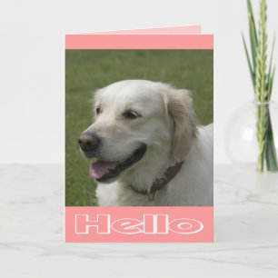 Olá, Pensando Em Você Cartão de Cachorrinho Golden