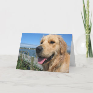 Olá, Pensando Em Você Cartão de Cachorrinho Retrie
