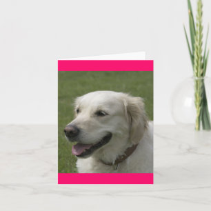 Olá, Pensando em Você - Cartão do Cachorrinho Gold