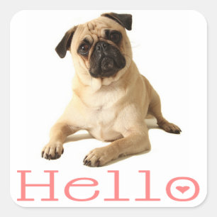 Olá Pug Cachorrinho Cachorro Adesivo / Etiqueta