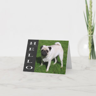 Olá Pug Cachorrinho Quadro-Negro Cartão de Nota em