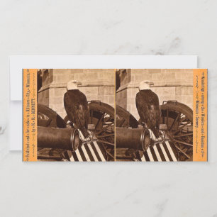Old Abe, The Wisconsin War Eagle - Stereoview
