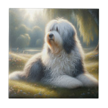 Old English Sheepdog