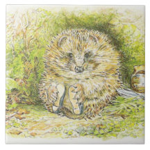 Old Mr Prickly Pin (Hedgehog) (por Beatrix Potter)