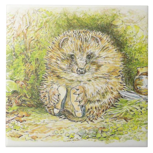 Old Mr Prickly Pin (Hedgehog) (por Beatrix Potter) (Frente)