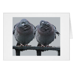 Olha como o cartão do pombo da chuva