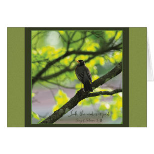 Olha, o inverno passou do cartão de nota de Paraka