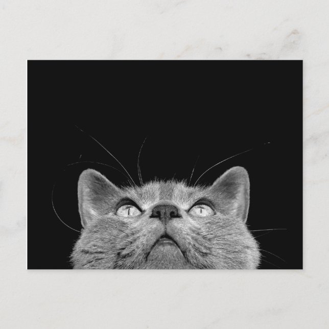 Olhando acima - o cartão (Frente)