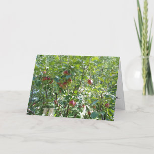 "Olhando na Árvore da Maçã" Cartão de Parabéns