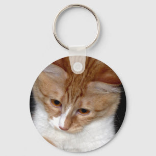 Olhando o chaveiro do gatinho