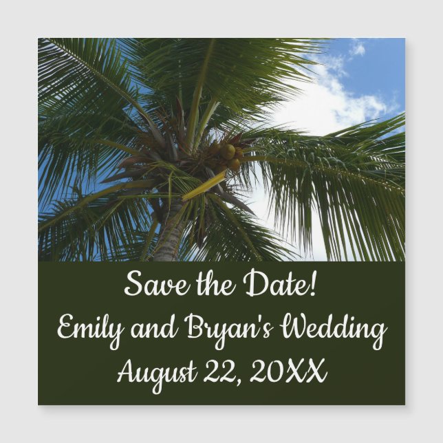 Olhando para a natureza tropical da árvore de palm (Frente)