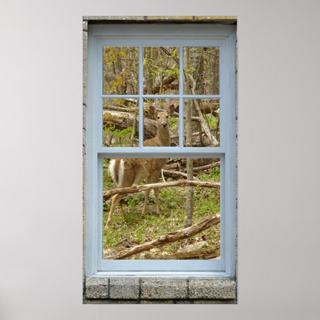 Olhando para o Poster Deer Doe (Frente)