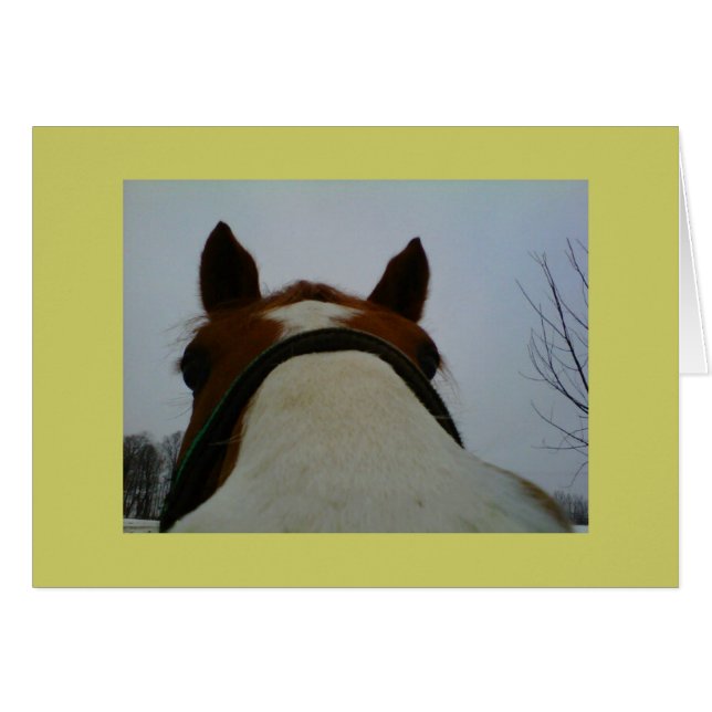 Olhando para o seu cartão (Frente horizontal)