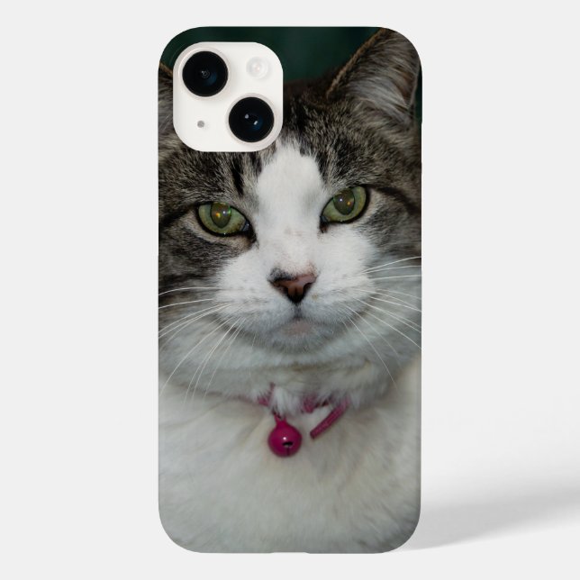 Olhando para você Olhando para a minha capas de ip (Verso)