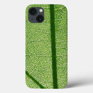 Olhar detalhadamente uma folha verde