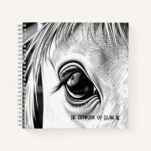 Olhar Equino - Caderno de Desenho Espiral