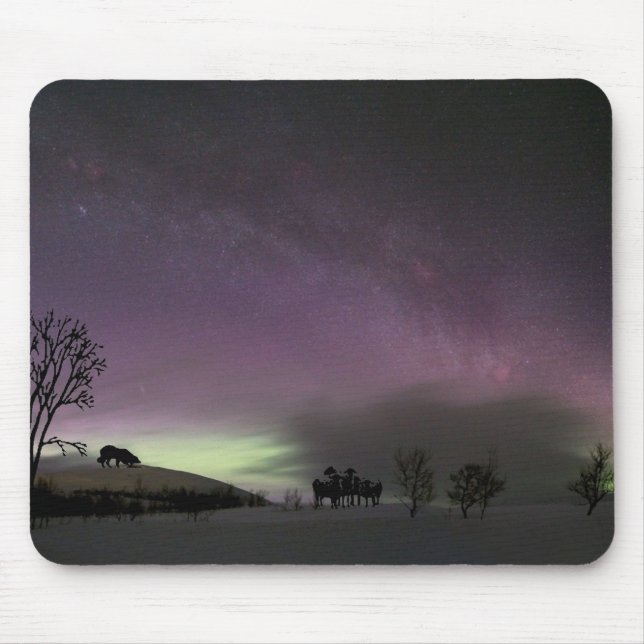 "Olhar para trás. "Border collie Mousepad (Frente)