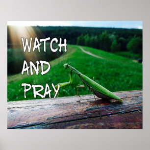 Olhe e Pray o poster