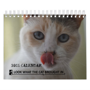 Olhe o que o gato trouxe no calendário do