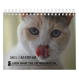 Olhe o que o gato trouxe no calendário do